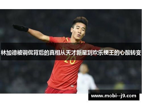 林加德被调侃背后的真相从天才新星到欢乐梗王的心酸转变