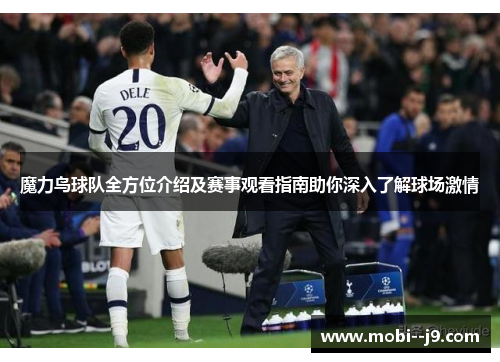 魔力鸟球队全方位介绍及赛事观看指南助你深入了解球场激情
