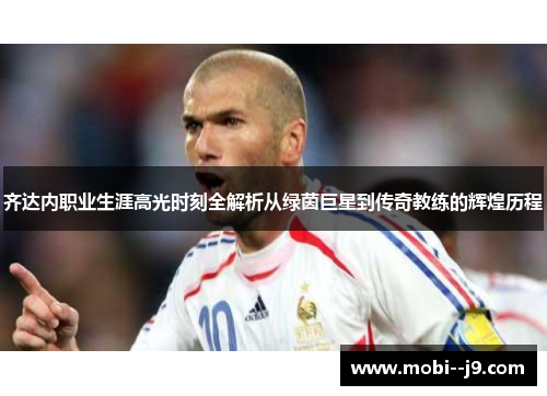 齐达内职业生涯高光时刻全解析从绿茵巨星到传奇教练的辉煌历程